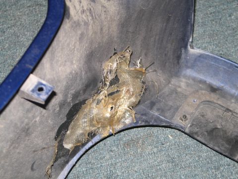 1990 Kawasaki Ninja “Lawnmower - SOLD”