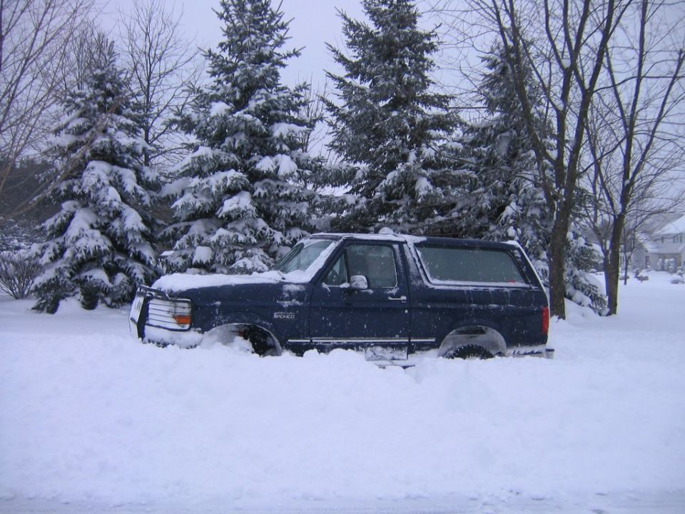 Dark blue SUV partially buried in snow, side view, with snow-covered pine trees behind it