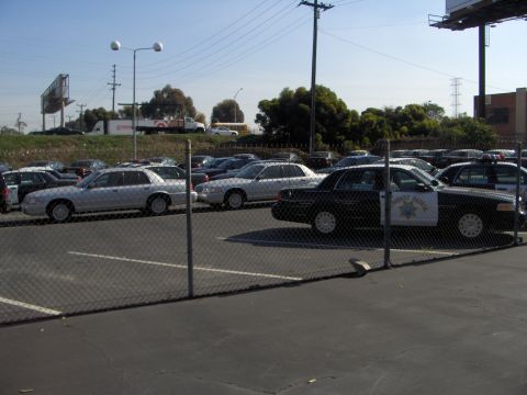 1995 Ford Crown Victoria photo