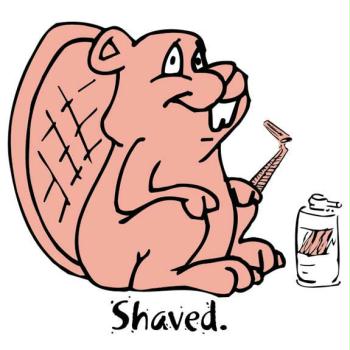 1991 Ford Bronco - Cartoon beaver is shown with a razor and shaving cream, with the word "Shaved." below.