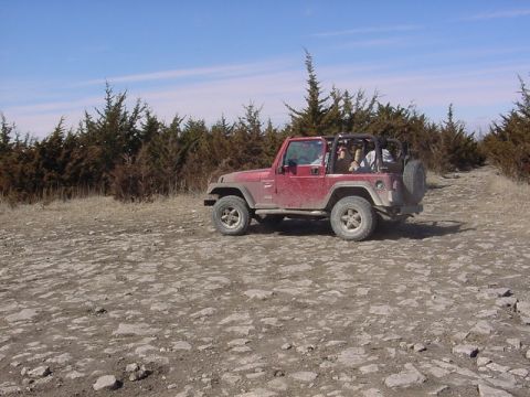 1998 Jeep TJ - 1998 Jeep TJ navigating a rough, rocky terrain with a line of trees bordering the path.
