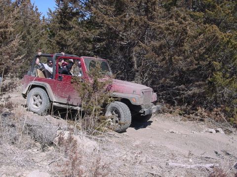 1998 Jeep TJ - A red Jeep Wrangler navigates a wooded trail with several passengers.
