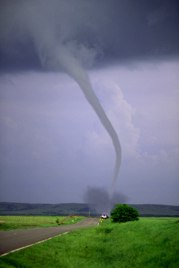1985 Ford Bronco - A powerful tornado dominates the sky above a green field and a distant road.