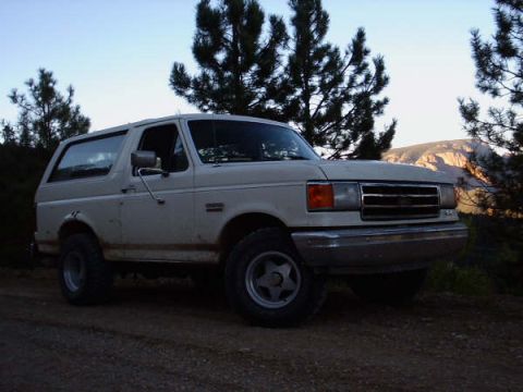 1991 Ford Bronco - 1991 Ford Bronco in a natural outdoor setting.