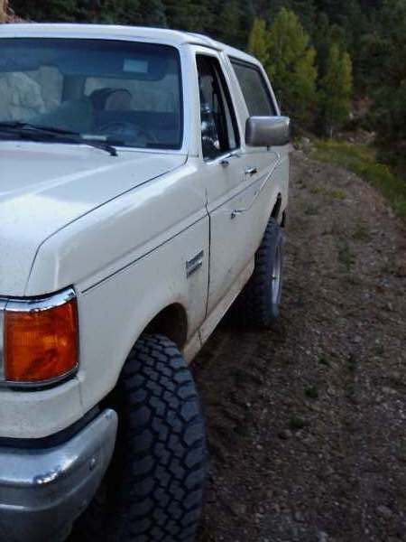 1991 Ford Bronco - This white Ford Bronco is parked on a dirt road, surrounded by trees and foliage.