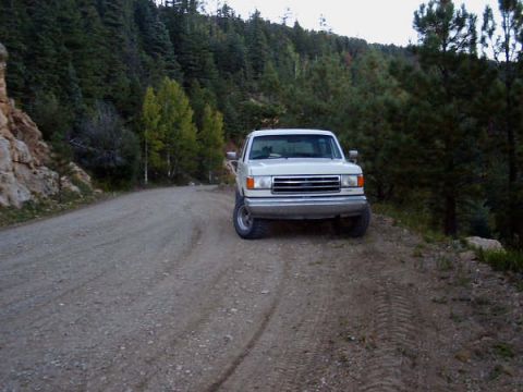 1991 Ford Bronco - A white 1991 Ford Bronco is parked on a dirt road surrounded by pine trees.
