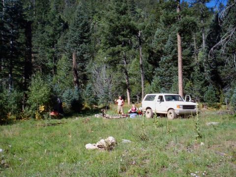 1991 Ford Bronco - A white 1992 Ford Bronco is parked in a wooded area, with two people standing nearby.