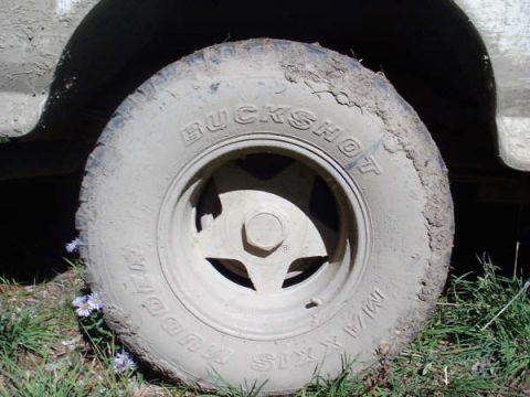 1991 Ford Bronco - A close-up of a muddy tire on a vehicle, with small flowers growing nearby.