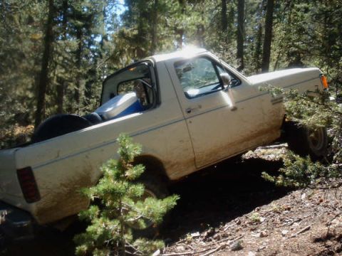 1991 Ford Bronco - A white pickup truck navigates a wooded trail, its tires kicking up dirt.