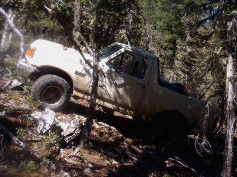 1991 Ford Bronco - This 1992 Ford F-150 pickup truck is stuck off-road in a dense forest.