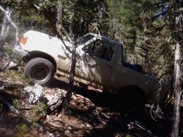 White 1992 Ford F-150 pickup truck stuck on a wooded hillside