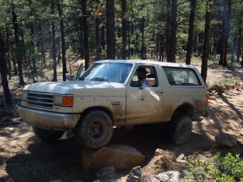 1991 Ford Bronco - This 1987 Ford Bronco is navigating a rocky, wooded trail with its driver visible.