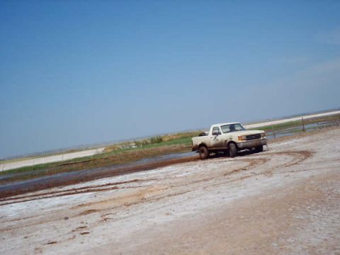 1991 Ford Bronco - A white 1991 Ford Bronco navigates a dusty, off-road terrain under a clear blue sky.
