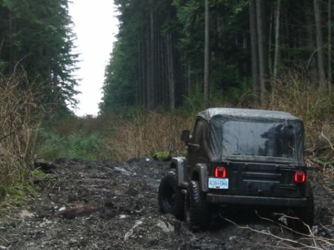 1985 Ford F-150 - Jeep Wrangler navigating a challenging muddy path through a dense forest.