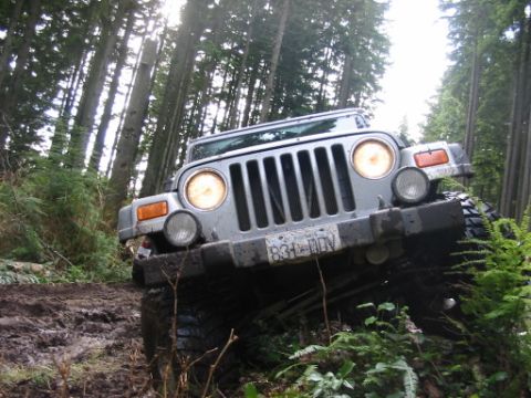 1985 Ford F-150 - A Jeep Wrangler navigates a challenging muddy path through a dense forest with tall trees.