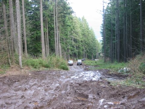 1985 Ford F-150 - Multiple off-road vehicles navigate a muddy path through a dense forest.