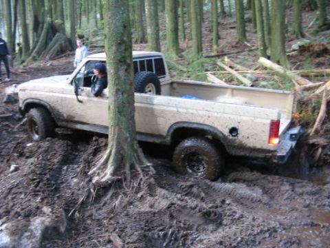1985 Ford F-150 - A tan Ford F-150 navigates a challenging muddy terrain in a dense forest.