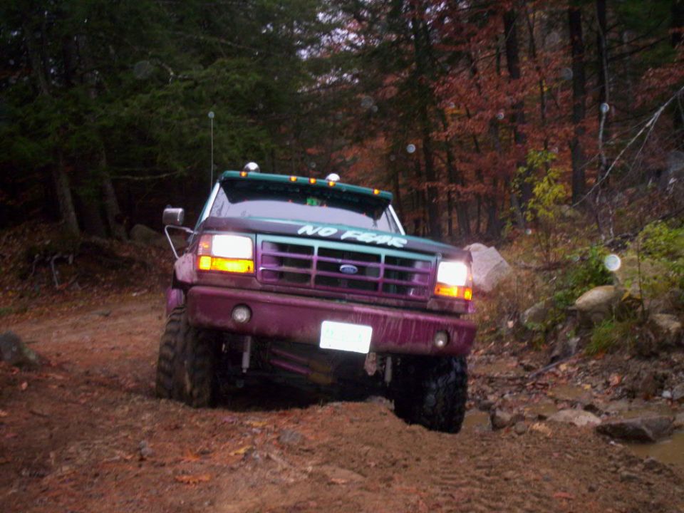 1995 Ford F-150 “xl”