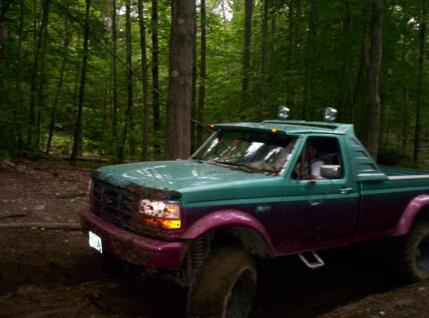 1995 Ford F-150 photo