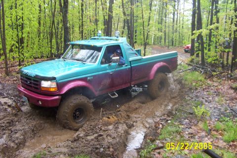 1995 Ford F-150 photo