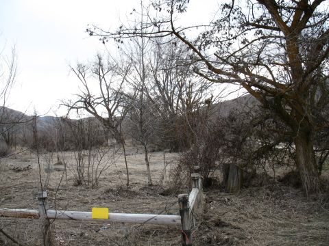 1994 Ford C-350 (Centurion Conversions) - believe it or not, there used to be a house here that I lived in. Trees in the back is where my brothers had cables strung and used to swin…