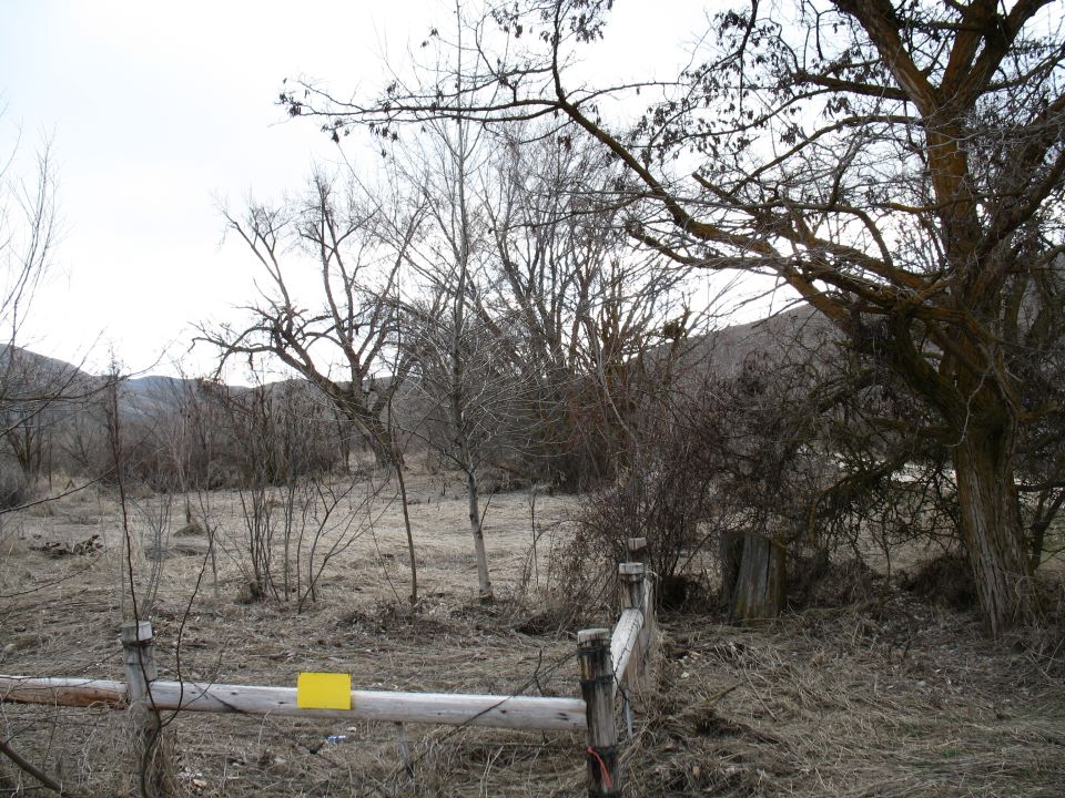believe it or not, there used to be a house here that I lived in. Trees in the back is where my brothers had cables strung and used to swing from tree to tree.