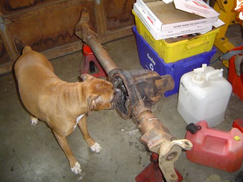 1989 Ford Bronco - Cassius checking the cleaning job on the D44