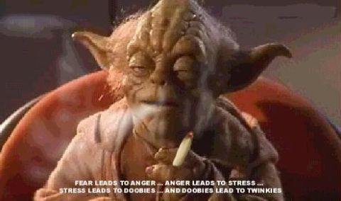 2006 Ford E350 - Yoda Fear leads to anger, anger leads to doobies, and doobies lead to Twinkies.