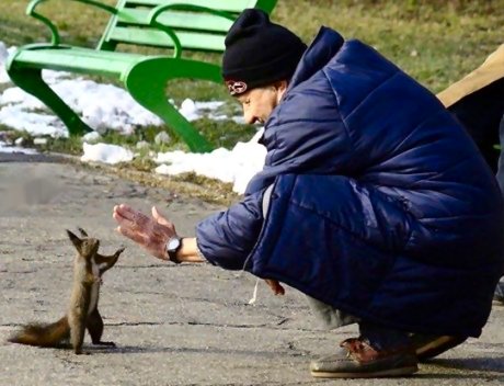 1985 Ford Bronco - A man offers his hand to a squirrel in a park setting, with snow visible on the ground and a green bench in the background.