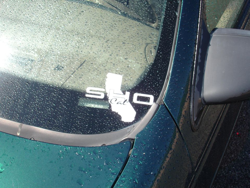 Green car windshield with water droplets and a white 'SHO Cal' sticker over a California outline