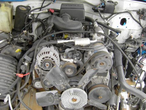 1991 Ford Bronco - Engine bay components including belts, pulleys, and alternator are visible in this close-up view.