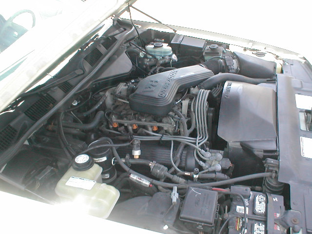 1994 Ford Crown Victoria engine bay, white exterior, close-up view of engine components