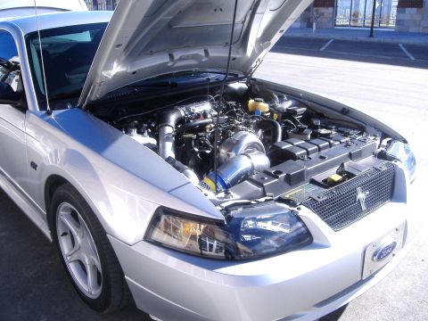 2003 Ford Mustang photo