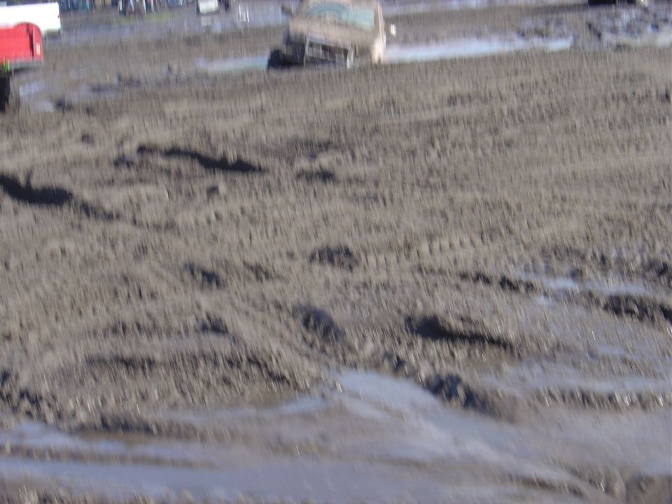 Truck stuck in mud with tire tracks visible