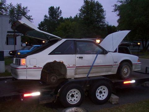 1988 Ford Mustang