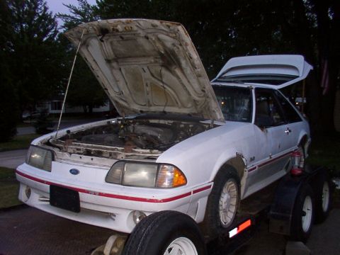 1988 Ford Mustang - This white Ford Mustang, likely a 1987 model, is on a trailer with its hood and trunk open.