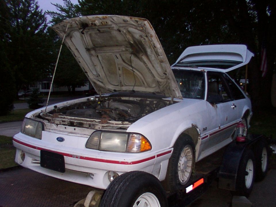 White Ford Mustang with hood and trunk open, on a trailer. Red stripe along the body