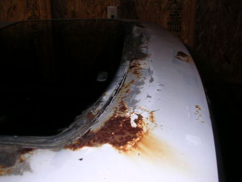 1988 Ford Mustang - The edge of a car's roof shows significant rust damage, with peeling paint and corrosion visible.