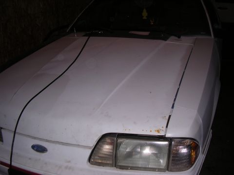 1988 Ford Mustang - The front end of a white Ford Mustang is visible, showing its headlights and hood.