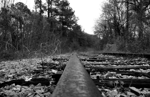 1996 Ford Bronco - Overgrown railroad tracks disappear into a wooded area.