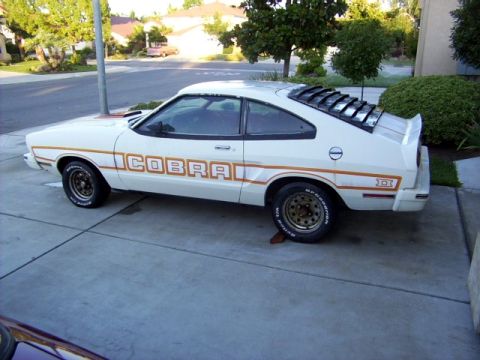 1978 Ford Mustang II - This 1977 coupe features prominent COBRA graphics and distinctive rear window louvers.