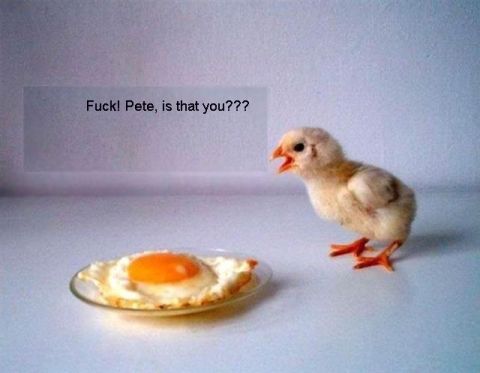 1996 Ford Probe - A chick questions a fried egg, while a SUPERMOTORS logo is visible in the corner.
