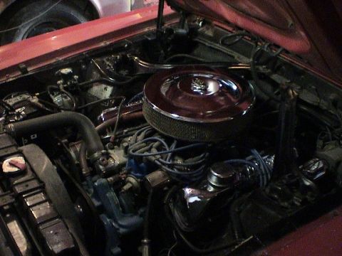 1969 Ford Mustang photo