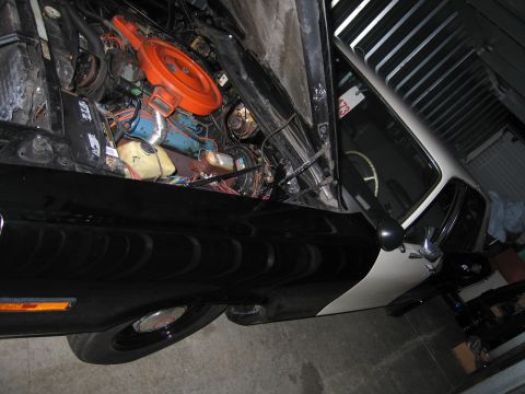 1991 Ford LTD Crown Victoria - low angled shot along a black car's fender and round headlight into the open engine bay with an orange air cleaner.