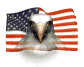 1968 Ford Mustang - Eagle head superimposed on an American flag.