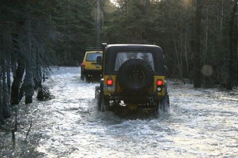 2003 Jeep TJ - Two yellow Jeeps navigate a flooded forest road on a sunny day.
