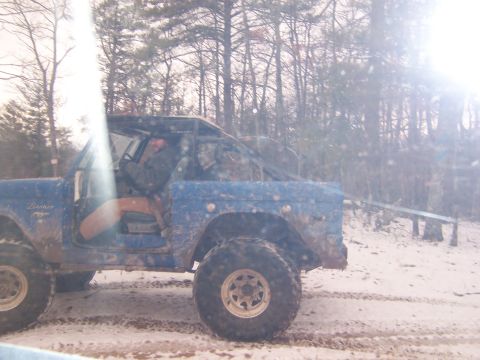 1978 Ford Bronco - Hawk chillin!