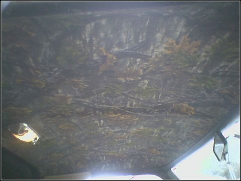 1981 Ford Bronco - The interior headliner of a vehicle is covered in a camouflage pattern.