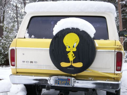 1978 Ford Bronco “Tweety”