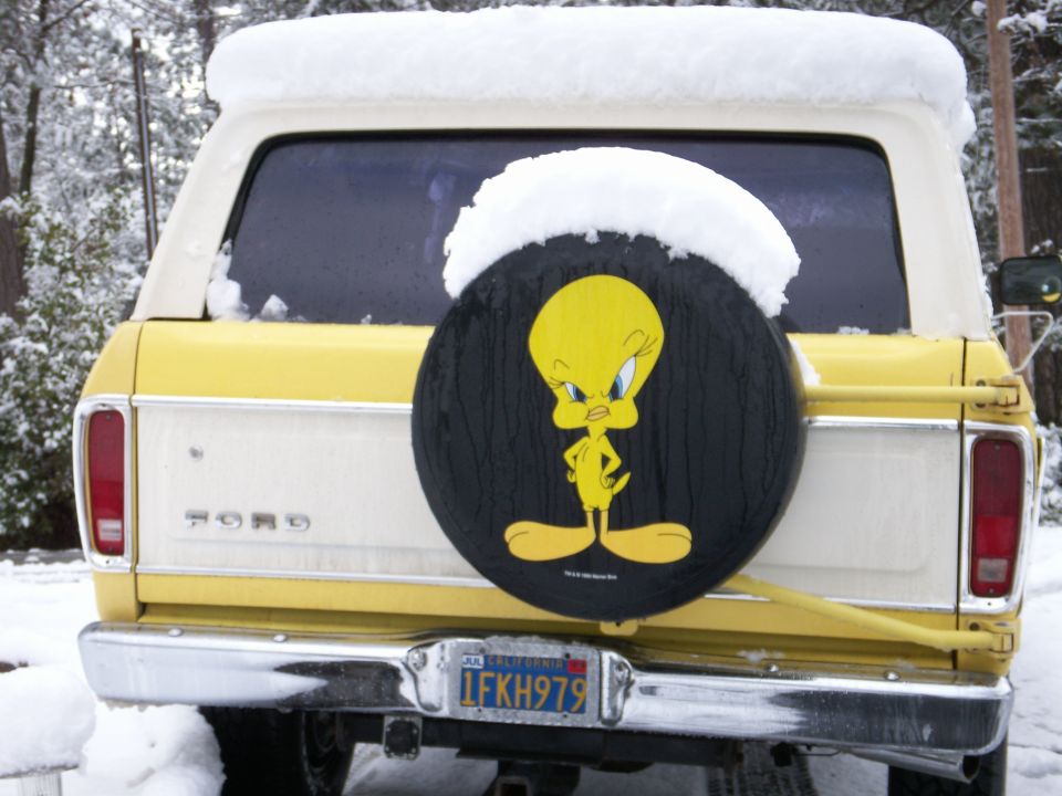 1978 Ford Bronco “Tweety”